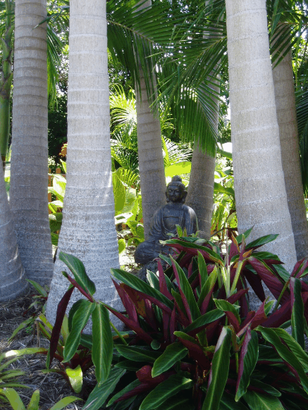 Amber Gardens Guesthouse - Accommodation Gladstone 3