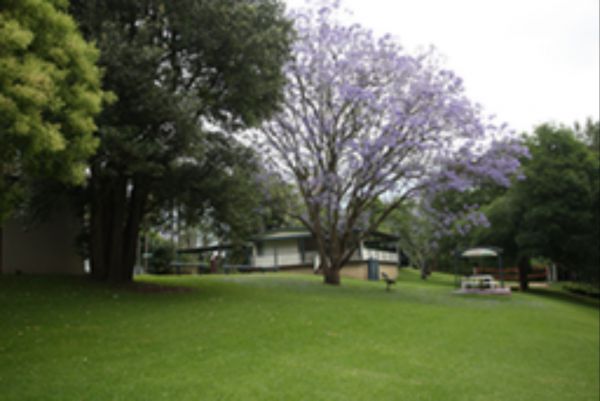 Pitt Town NSW Accommodation Gladstone