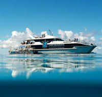 Bundaberg to Lady Musgrave Island Day Cruise - Accommodation Gladstone