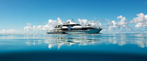 Bundaberg To Lady Musgrave Island Day Cruise - Accommodation Gladstone 0