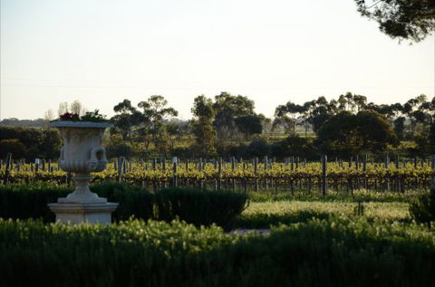 Angas Plains Estate Wines Heritage Suite - Accommodation Gladstone 6