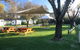 BIG4 North Cedars Holiday Park Wangaratta - thumb 3