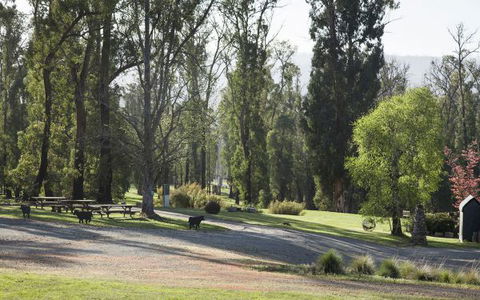 Saladin Lodge - Accommodation Gladstone 5