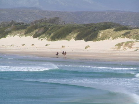 Arties Cottage Accommodation - Accommodation Gladstone 5