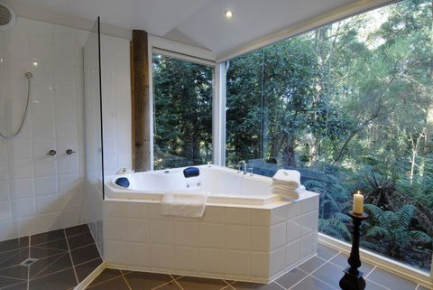 Arnica Views Summit Retreat - Accommodation Gladstone 5