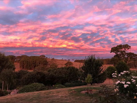 Avaleigh Elms Farmstay - Accommodation Gladstone 5