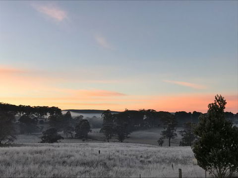 Avaleigh Elms Farmstay - Accommodation Gladstone 8