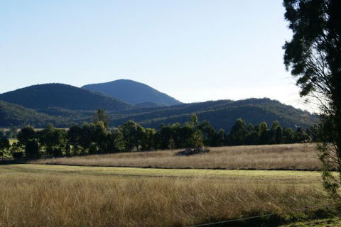 Baerami Pines Hunter Valley Retreat - Accommodation Gladstone 7