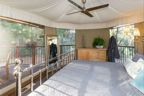 Beechworth Wildlife Stays - Accommodation Gladstone 1