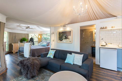 Beechworth Wildlife Stays - Accommodation Gladstone 3