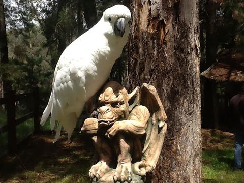 Beechworth Wildlife Stays - Accommodation Gladstone 9