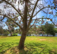 Breakaway Twin Rivers Caravan Park - Accommodation Gladstone