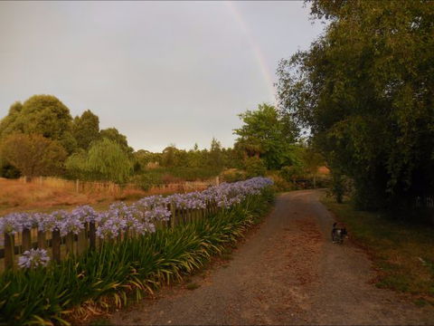 Bunjil Farm - Accommodation Gladstone 5