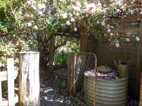 Bunjil Farm - Accommodation Gladstone 7
