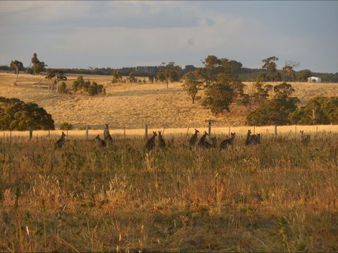 Bunjil Farm - Accommodation Gladstone 8
