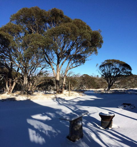 Cloud 9 Alpine Lodge - Accommodation Gladstone 9