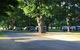 Colac Colac Caravan Park - thumb 1