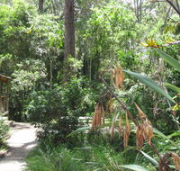 Dunns Creek Downs Nature Stay - Accommodation Gladstone