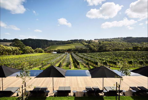 Jackalope Mornington Peninsula - Accommodation Gladstone 4