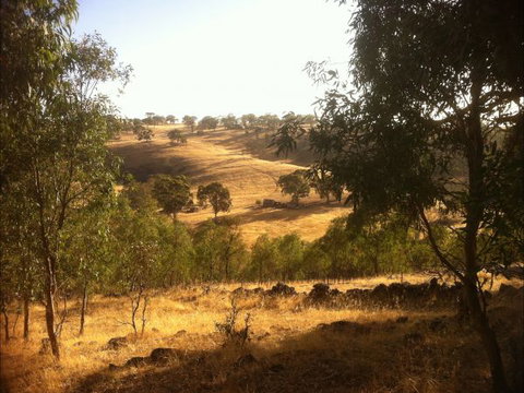 Jonathan Art Centre - Jarramarrumba House - Accommodation Gladstone 6