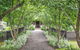 Kyneton Old Rectory - thumb 3