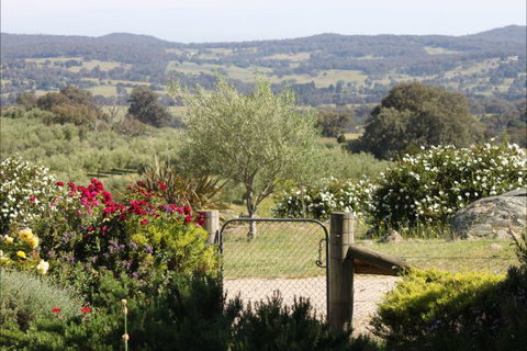 L'Oliveraie - Accommodation Gladstone 1