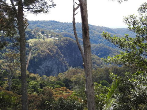 Mt Tamborine Motel - Accommodation Gladstone 0