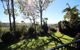 Mt Tamborine Motel - thumb 2