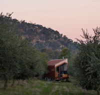 Shacky in the Olive Grove - Accommodation Gladstone