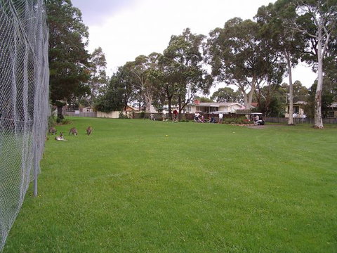 Waratah Cottage - Accommodation Gladstone 8