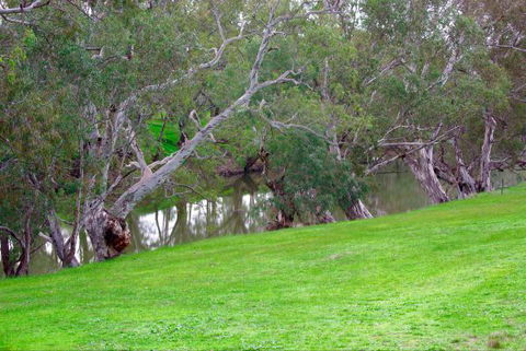 Yalooka Farm - Accommodation Gladstone 4