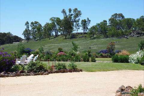 Yalooka Farm - Accommodation Gladstone 6