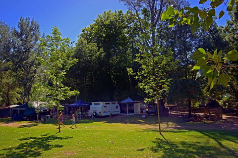 Ardern's Caravan Park Myrtleford - Accommodation Gladstone 0