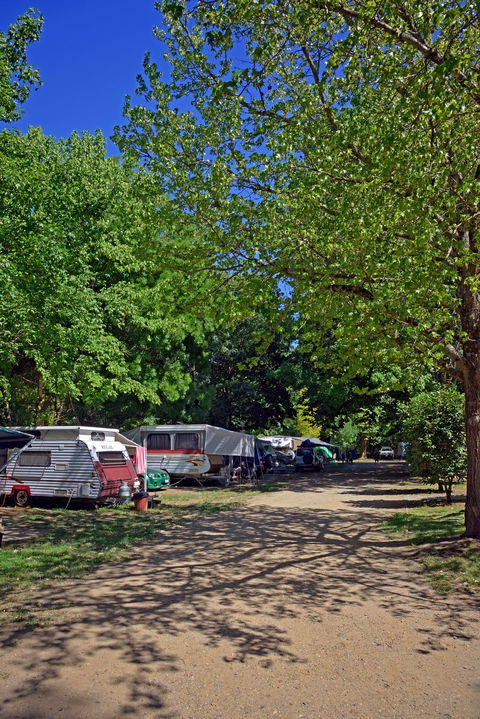 Ardern's Caravan Park Myrtleford - Accommodation Gladstone 1
