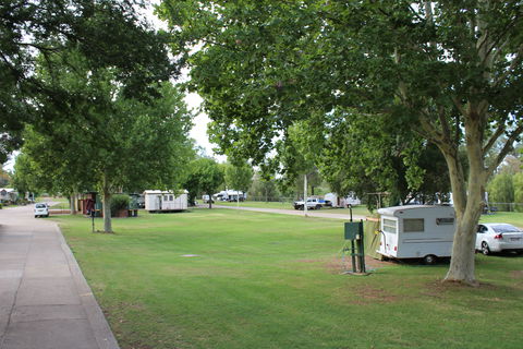 Austin Tourist Park - Accommodation Gladstone 3