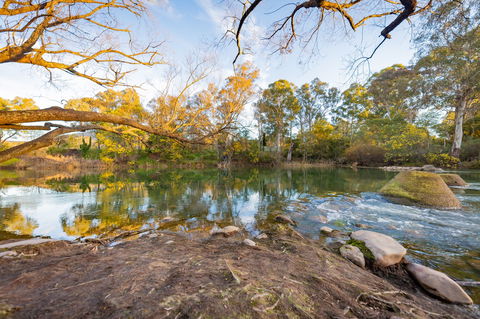Eildon Riverside Holiday Park - Accommodation Gladstone 8