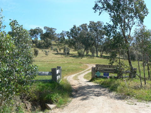 Gaddleen Grove Cottages - Accommodation Gladstone 3