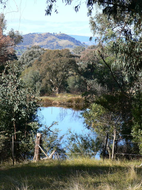 Gaddleen Grove Cottages - Accommodation Gladstone 6