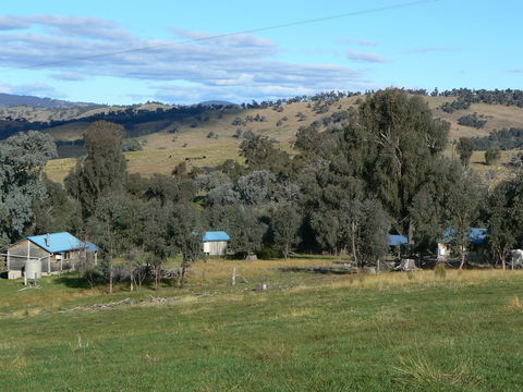 Gaddleen Grove Cottages - Accommodation Gladstone 7