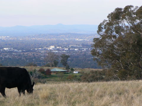 Gaddleen Grove Cottages - Accommodation Gladstone 8