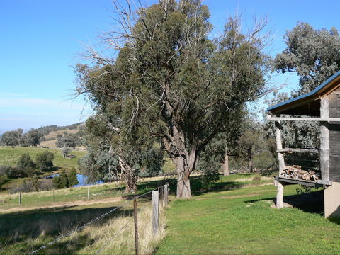 Gaddleen Grove Cottages - Accommodation Gladstone 9
