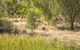 Girragirra Retreat - thumb 7