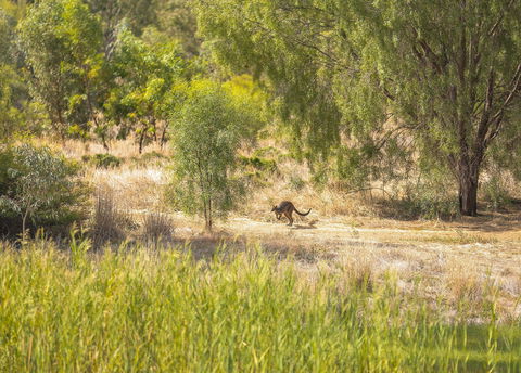 Girragirra Retreat - Accommodation Gladstone 7