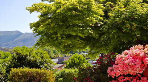 Greatview Holiday Spa Retreat For Couples - Accommodation Gladstone 4