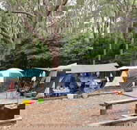 Pebbly Beach campground - Yuraygir National Park - Accommodation Gladstone