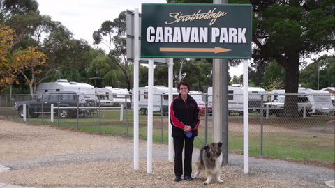 Strathalbyn Caravan Park - Accommodation Gladstone 0