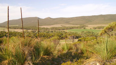 Nyroca Campsite & Group Accommodation - Accommodation Gladstone 0