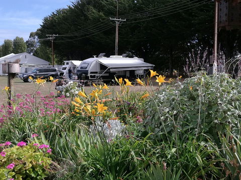 Millicent Showground RV Park - Accommodation Gladstone 0