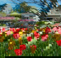 Nesuto Leura Gardens Hotel - Accommodation Gladstone