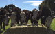 Percy's Place Caravan Park - thumb 2